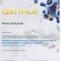 Powiększ obraz: certificate 7