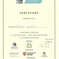 Powiększ obraz: certificate 17