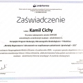 Powiększ obraz: certificate 5