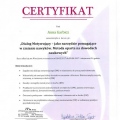 Powiększ obraz: certificate 3