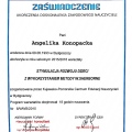 Powiększ obraz: certificate 6
