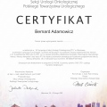 Powiększ obraz: certificate 34