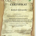 Powiększ obraz: certificate 45