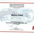 Powiększ obraz: certificate 6