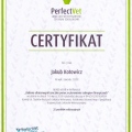 Powiększ obraz: certificate 11