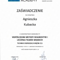 Powiększ obraz: certificate 13