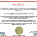 Powiększ obraz: certificate 5