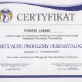 Powiększ obraz: certificate 19