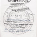 Powiększ obraz: certificate 22