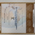 Powiększ obraz: certificate 12