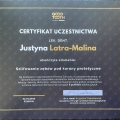 Powiększ obraz: certificate 1