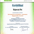 Powiększ obraz: certificate 2