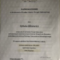 Powiększ obraz: certificate 8