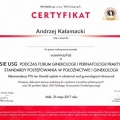 Powiększ obraz: certificate 12
