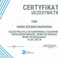 Powiększ obraz: certificate 13
