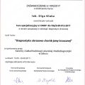 Powiększ obraz: certificate 14