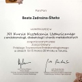 Powiększ obraz: certificate 11