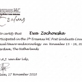 Powiększ obraz: certificate 4