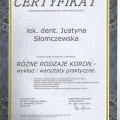 Powiększ obraz: certificate 12