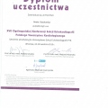 Powiększ obraz: certificate 4