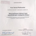 Powiększ obraz: certificate 2