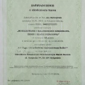 Powiększ obraz: certificate 3