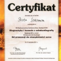 Powiększ obraz: certificate 78