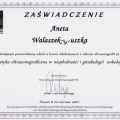 Powiększ obraz: certificate 12