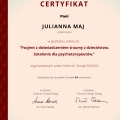 Powiększ obraz: certificate 17