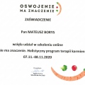 Powiększ obraz: certificate 45
