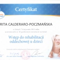 Powiększ obraz: certificate 6