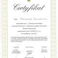 Powiększ obraz: certificate 20