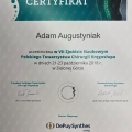Powiększ obraz: certificate 8