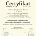 Powiększ obraz: certificate 2