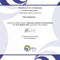 Powiększ obraz: certificate 4
