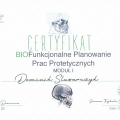 Powiększ obraz: certificate 11