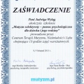 Powiększ obraz: certificate 7