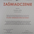 Powiększ obraz: certificate 1
