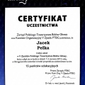 Powiększ obraz: certificate 12