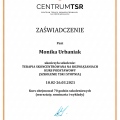Powiększ obraz: certificate 9