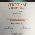 Powiększ obraz: certificate 29