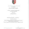Powiększ obraz: certificate 8