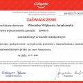 Powiększ obraz: certificate 4