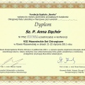 Powiększ obraz: certificate 13