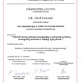 Powiększ obraz: certificate 11