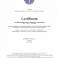 Powiększ obraz: certificate 2