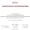 Powiększ obraz: certificate 9