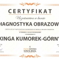 Powiększ obraz: certificate 20