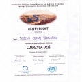 Powiększ obraz: certificate 17
