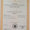 Powiększ obraz: certificate 11